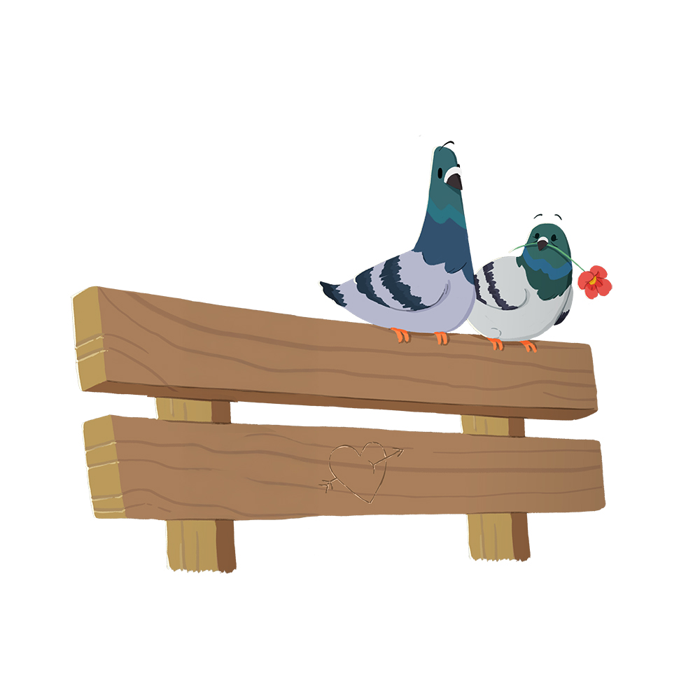 pigeons